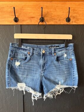 Blank NYC The Astor Cutoff Denim Shorts